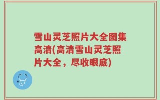 雪山灵芝照片大全图集高清(高清雪山灵芝照片大全，尽收眼底)