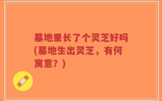 墓地里长了个灵芝好吗(墓地生出灵芝，有何寓意？)