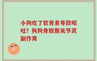 小狗吃了软骨素导致呕吐？狗狗骨胶原关节灵副作用