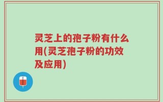 灵芝上的孢子粉有什么用(灵芝孢子粉的功效及应用)