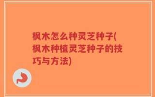 枫木怎么种灵芝种子(枫木种植灵芝种子的技巧与方法)
