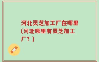 河北灵芝加工厂在哪里(河北哪里有灵芝加工厂？)