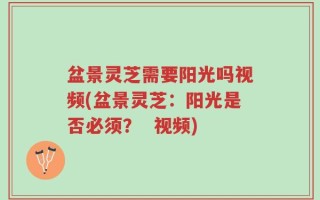 盆景灵芝需要阳光吗视频(盆景灵芝：阳光是否必须？  视频)