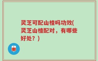 灵芝可配山楂吗功效(灵芝山楂配对，有哪些好处？)