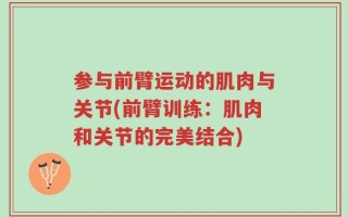 参与前臂运动的肌肉与关节(前臂训练：肌肉和关节的完美结合)