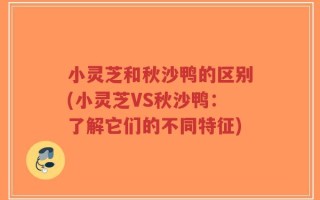 小灵芝和秋沙鸭的区别(小灵芝VS秋沙鸭：了解它们的不同特征)