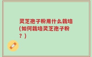 灵芝孢子粉用什么栽培(如何栽培灵芝孢子粉？)