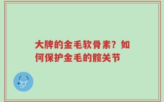 大牌的金毛软骨素？如何保护金毛的髋关节