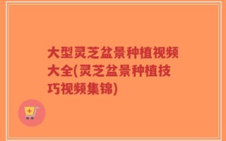 大型灵芝盆景种植视频大全(灵芝盆景种植技巧视频集锦)