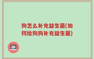 狗怎么补充益生菌(如何给狗狗补充益生菌)