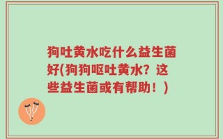 狗吐黄水吃什么益生菌好(狗狗呕吐黄水？这些益生菌或有帮助！)