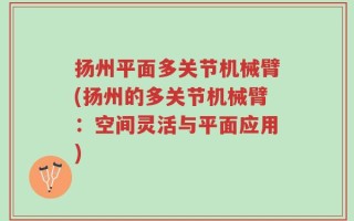 扬州平面多关节机械臂(扬州的多关节机械臂：空间灵活与平面应用)