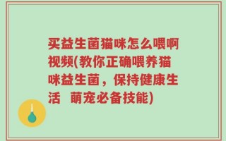 买益生菌猫咪怎么喂啊视频(教你正确喂养猫咪益生菌，保持健康生活  萌宠必备技能)