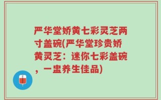 严华堂娇黄七彩灵芝两寸盖碗(严华堂珍贵娇黄灵芝：迷你七彩盖碗，一盅养生佳品)