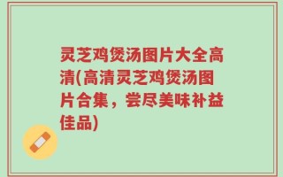 灵芝鸡煲汤图片大全高清(高清灵芝鸡煲汤图片合集，尝尽美味补益佳品)