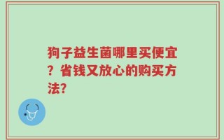狗子益生菌哪里买便宜？省钱又放心的购买方法？