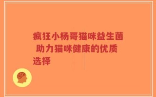 疯狂小杨哥猫咪益生菌 助力猫咪健康的优质选择
