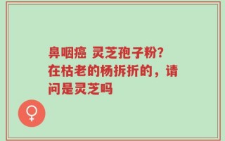 鼻咽癌 灵芝孢子粉？在枯老的杨拆折的，请问是灵芝吗