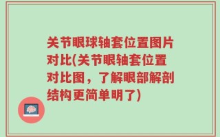 关节眼球轴套位置图片对比(关节眼轴套位置对比图，了解眼部解剖结构更简单明了)