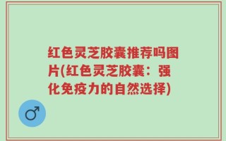 红色灵芝胶囊推荐吗图片(红色灵芝胶囊：强化免疫力的自然选择)
