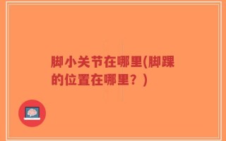 脚小关节在哪里(脚踝的位置在哪里？)