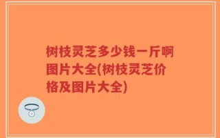 树枝灵芝多少钱一斤啊图片大全(树枝灵芝价格及图片大全)