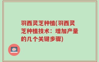 羽西灵芝种植(羽西灵芝种植技术：增加产量的几个关键步骤)