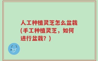 人工种植灵芝怎么盆栽(手工种植灵芝，如何进行盆栽？)