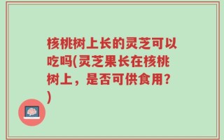 核桃树上长的灵芝可以吃吗(灵芝果长在核桃树上，是否可供食用？)