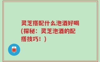 灵芝搭配什么泡酒好喝(探秘：灵芝泡酒的配搭技巧！)