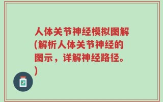 人体关节神经模拟图解(解析人体关节神经的图示，详解神经路径。)