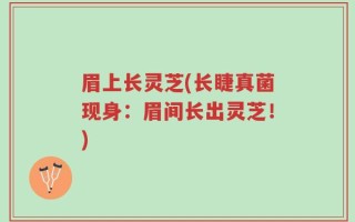 眉上长灵芝(长睫真菌现身：眉间长出灵芝！)