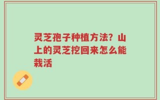 灵芝孢子种植方法？山上的灵芝挖回来怎么能栽活