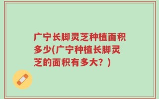 广宁长脚灵芝种植面积多少(广宁种植长脚灵芝的面积有多大？)