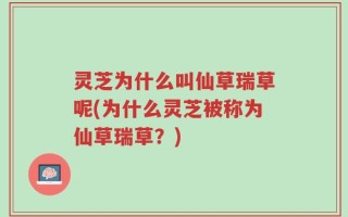 灵芝为什么叫仙草瑞草呢(为什么灵芝被称为仙草瑞草？)