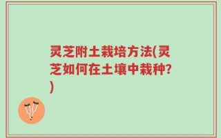 灵芝附土栽培方法(灵芝如何在土壤中栽种？)