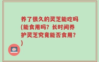 养了很久的灵芝能吃吗(能食用吗？长时间养护灵芝究竟能否食用？)