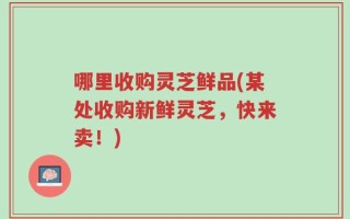 哪里收购灵芝鲜品(某处收购新鲜灵芝，快来卖！)