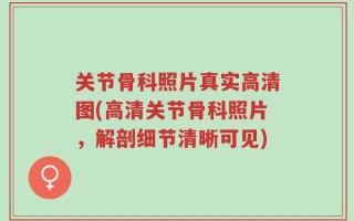 关节骨科照片真实高清图(高清关节骨科照片，解剖细节清晰可见)