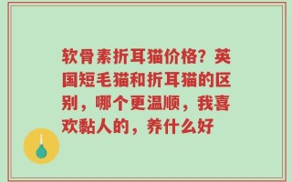 软骨素折耳猫价格？英国短毛猫和折耳猫的区别，哪个更温顺，我喜欢黏人的，养什么好