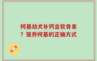 柯基幼犬补钙含软骨素？笼养柯基的正确方式