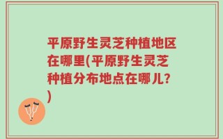 平原野生灵芝种植地区在哪里(平原野生灵芝种植分布地点在哪儿？)