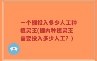 一个棚投入多少人工种植灵芝(棚内种植灵芝需要投入多少人工？)