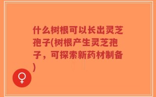 什么树根可以长出灵芝孢子(树根产生灵芝孢子，可探索新药材制备)