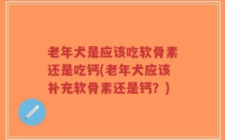 老年犬是应该吃软骨素还是吃钙(老年犬应该补充软骨素还是钙？)