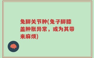 兔脚关节肿(兔子脚膝盖肿胀异常，或为其带来麻烦)