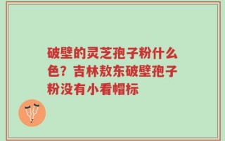 破壁的灵芝孢子粉什么色？吉林敖东破壁孢子粉没有小看帽标