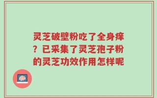 灵芝破壁粉吃了全身痒？已采集了灵芝孢子粉的灵芝功效作用怎样呢