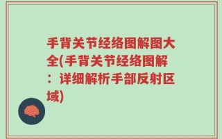 手背关节经络图解图大全(手背关节经络图解：详细解析手部反射区域)