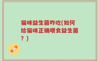 猫咪益生菌咋吃(如何给猫咪正确喂食益生菌？)